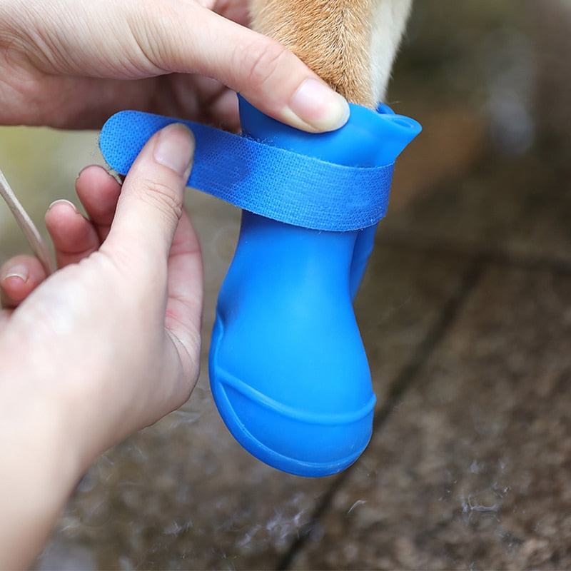 Regenlaarzen voor huisdieren - 4 stuks